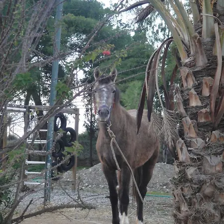 Isthmia Prime מלון 3*