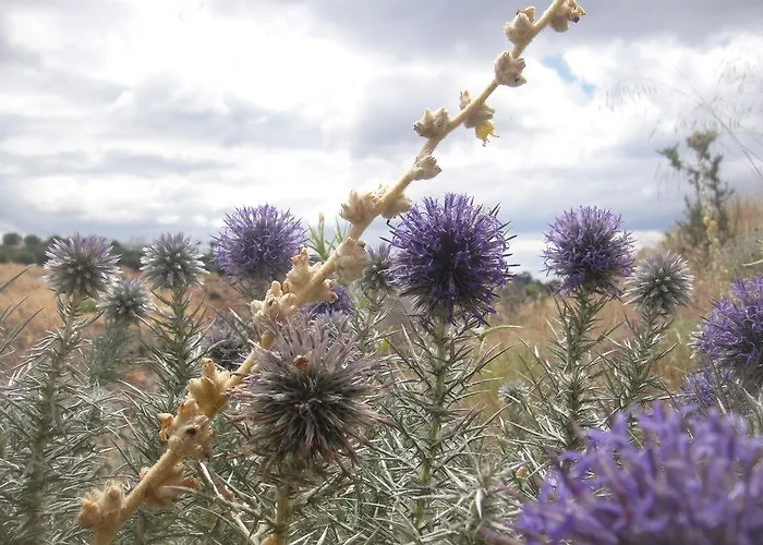 Isthmia Prime Hotel Corinth