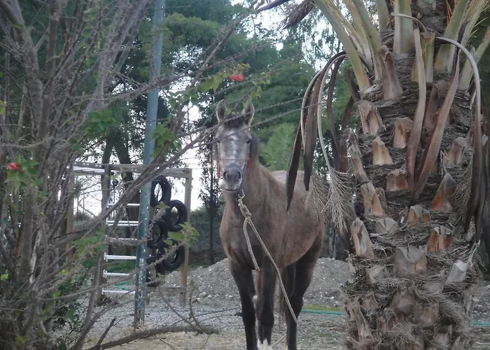 Isthmia Prime Hotel 3*